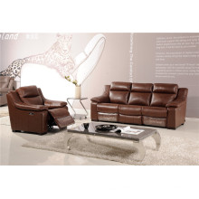 Wohnzimmer Echtes Leder Sofa (729)